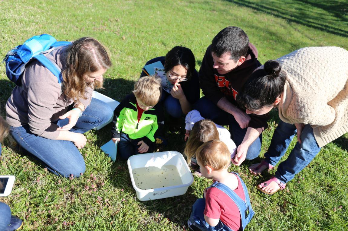 People looking at wildlife at the Bio Blitz