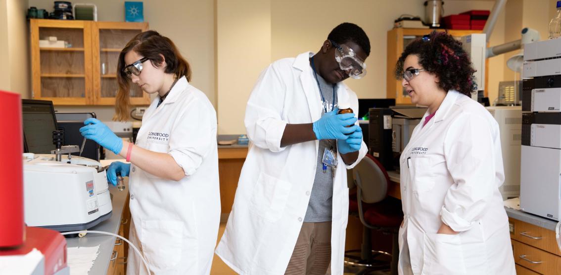 Students working in a campus lab